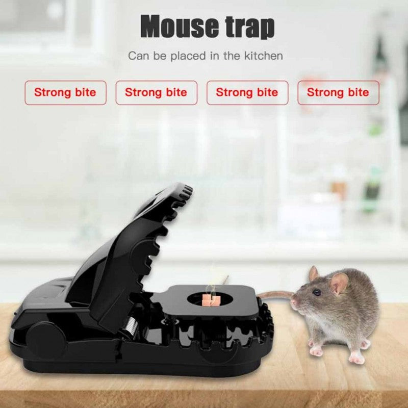 Mouse Trap