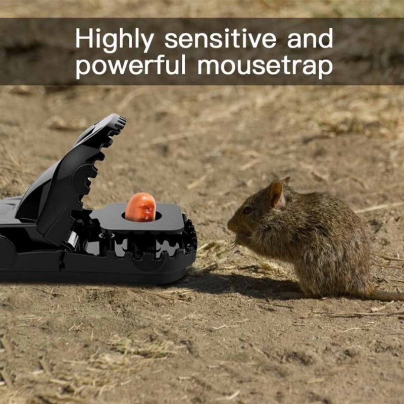 Mouse Trap